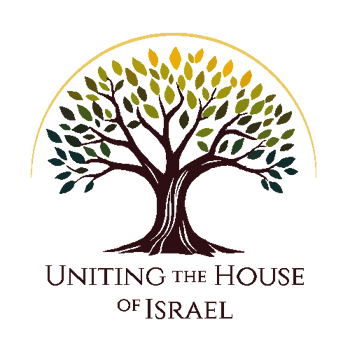 Uniting the House of Israel Logo Solid